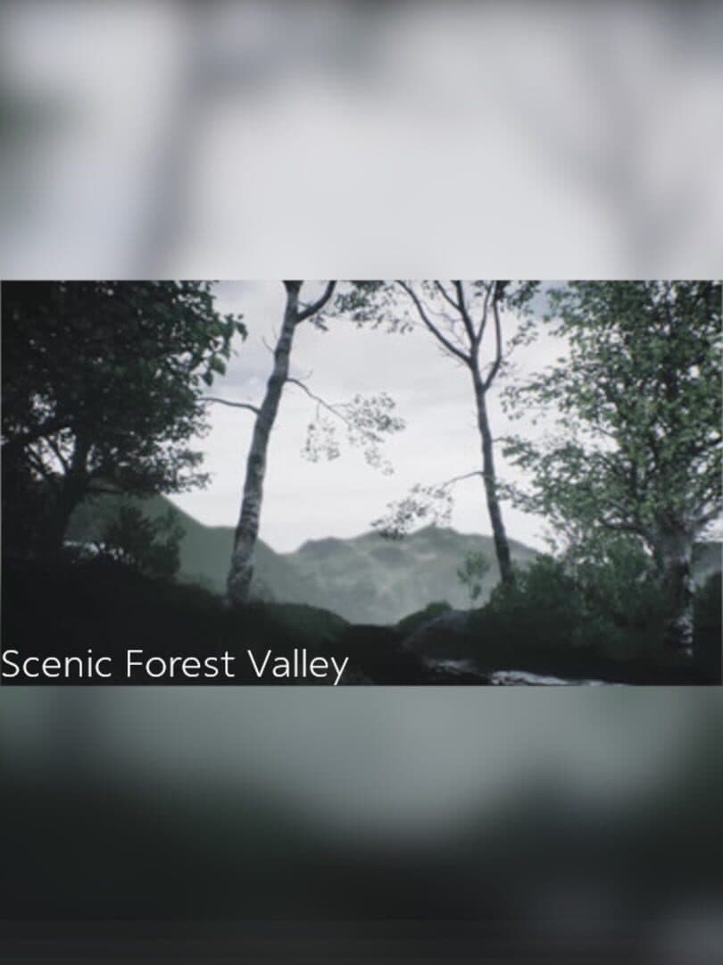 Scenic Forest Valley