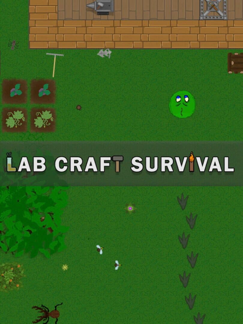 Lab Craft Survival