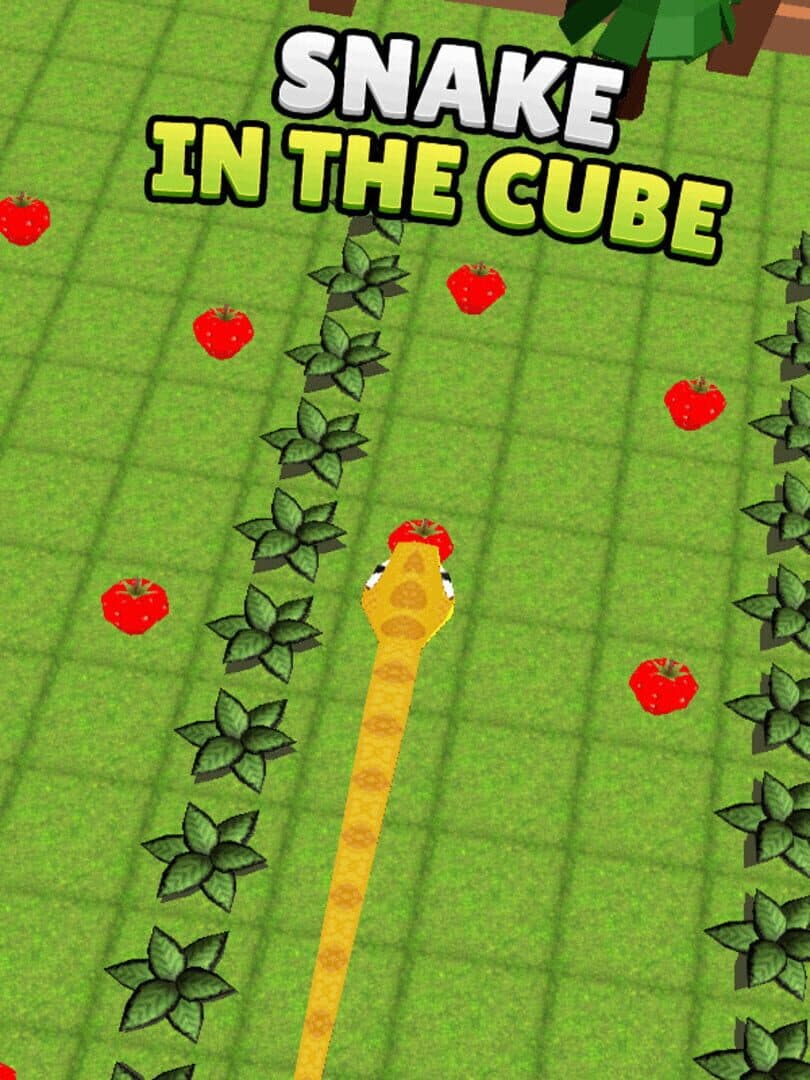 Snake in the Cube