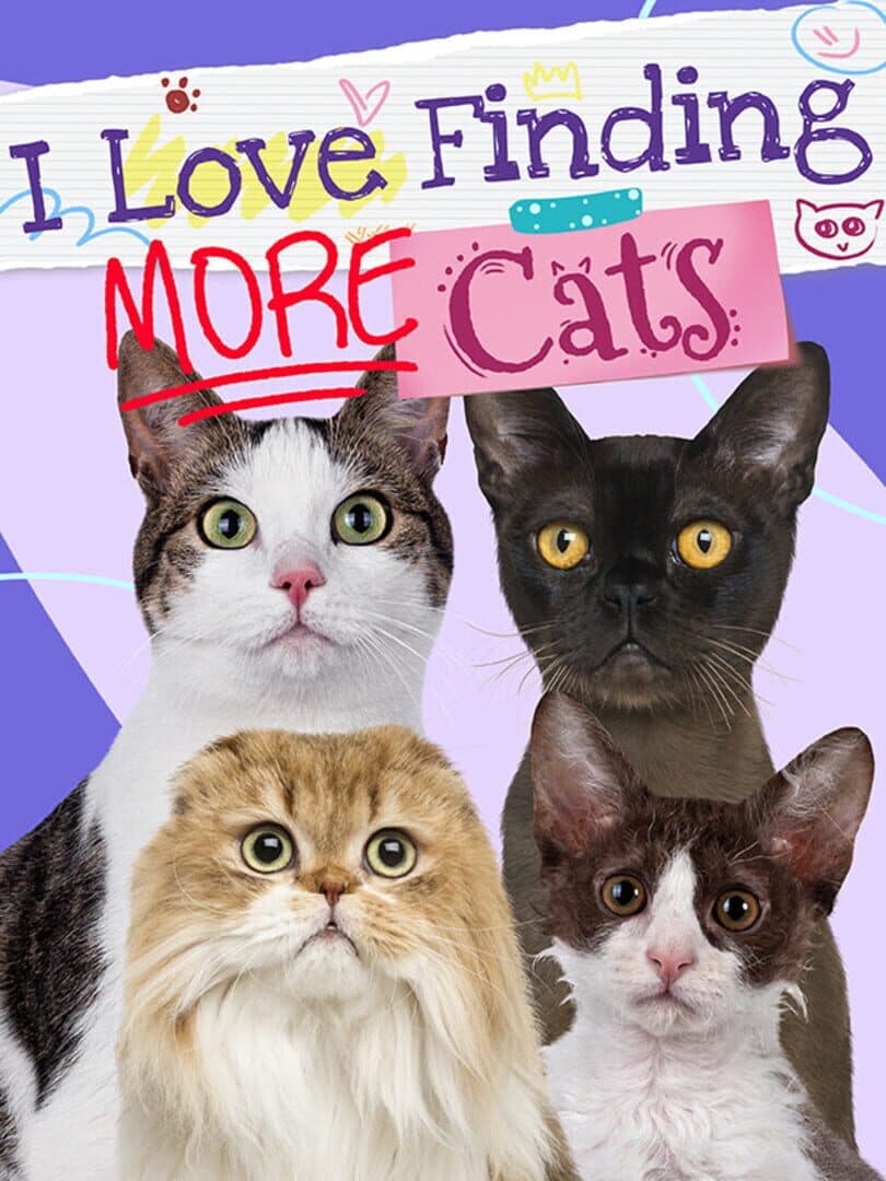 I Love Finding More Cats