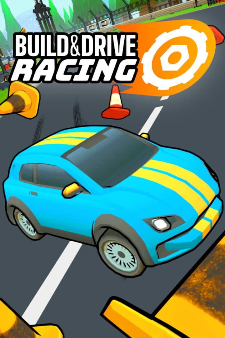 Build and Drive Racing