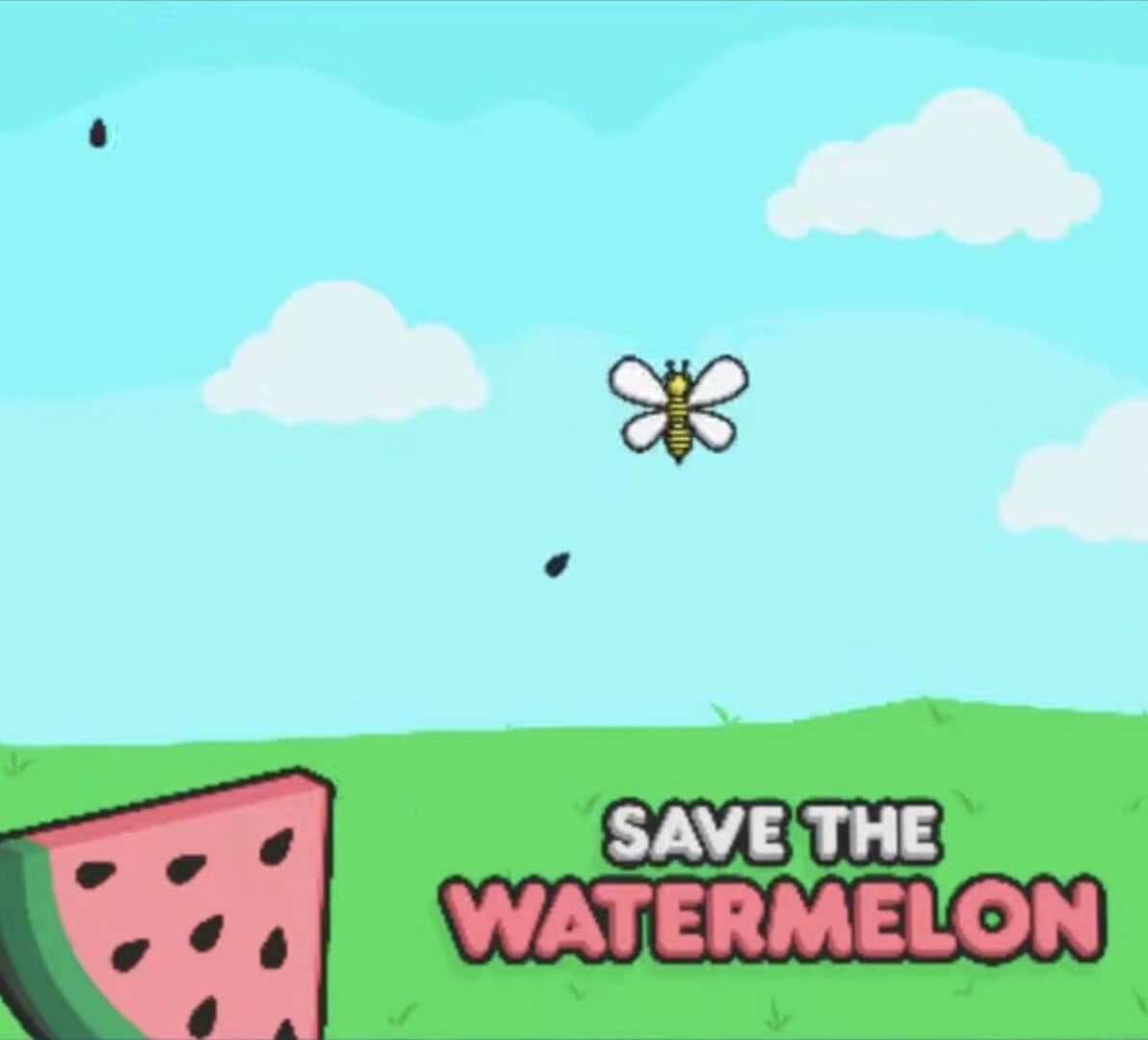 Save the Watermelon