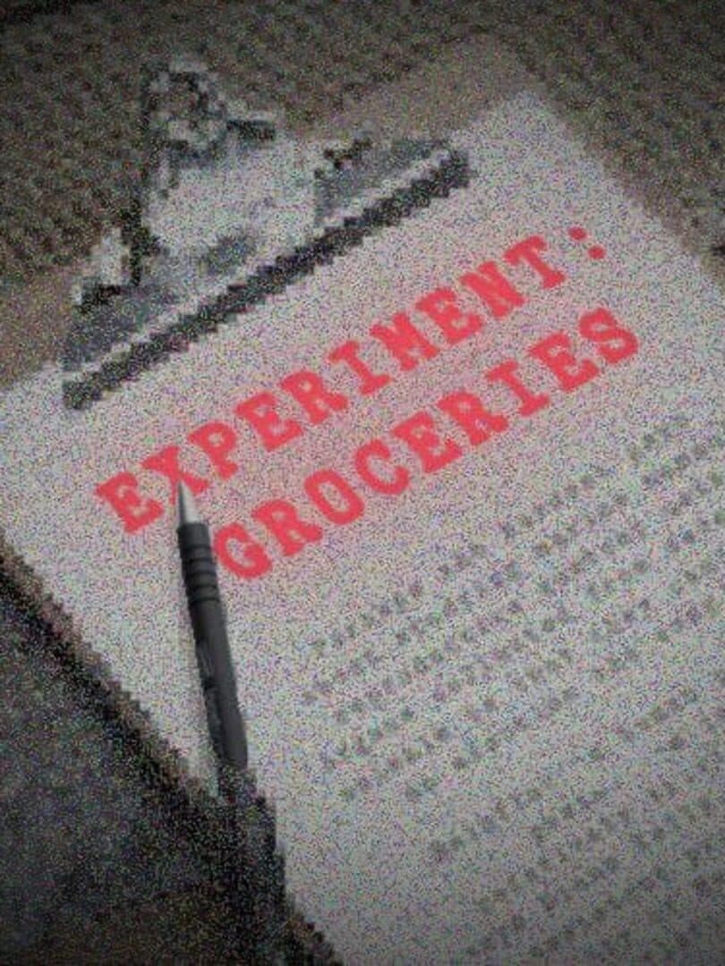 Experiment: Groceries
