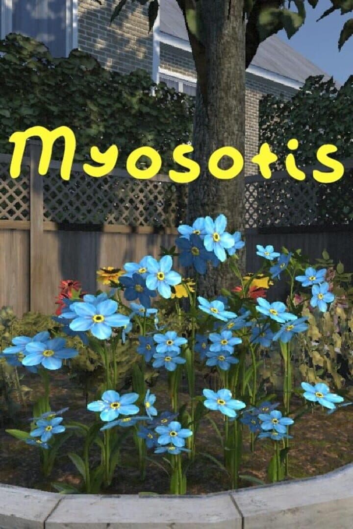 Myosotis
