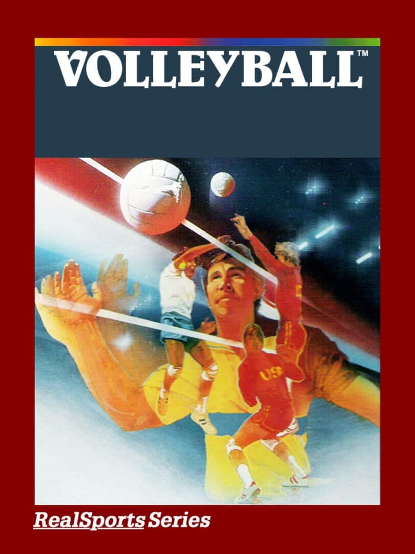 RealSports Volleyball