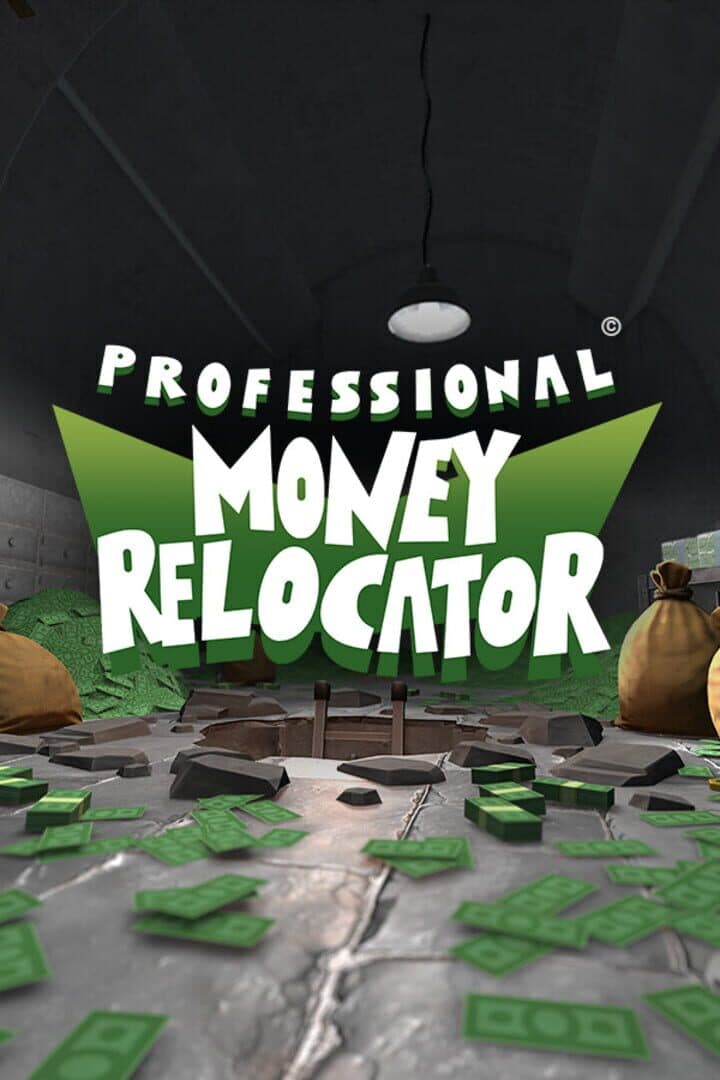 Professional Money Relocator
