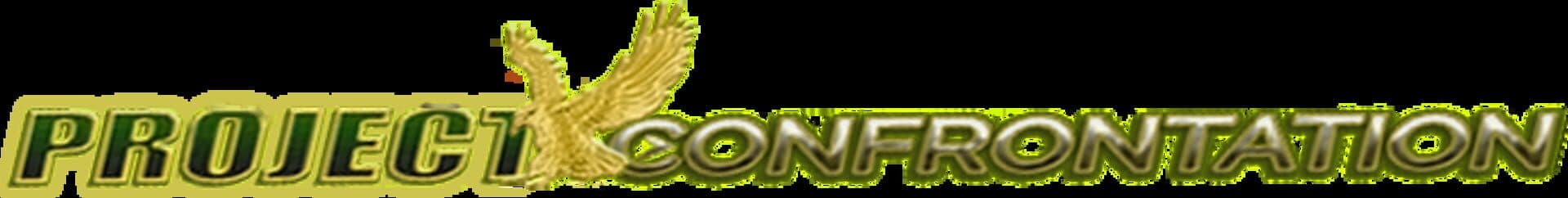 Project Confrontation