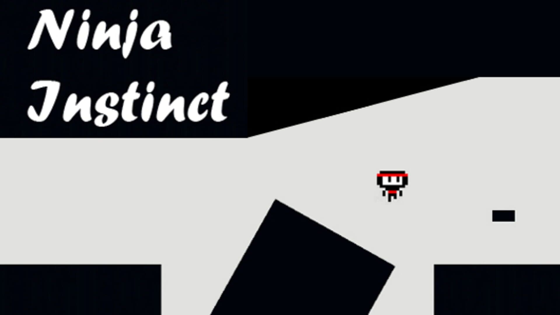 Ninja Instinct