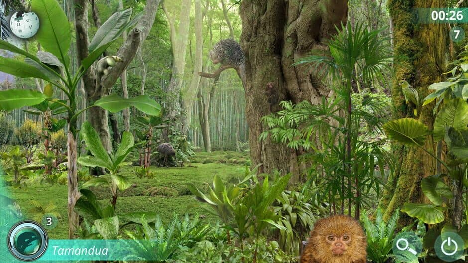 Hidden Animals: Photo Hunt screenshot