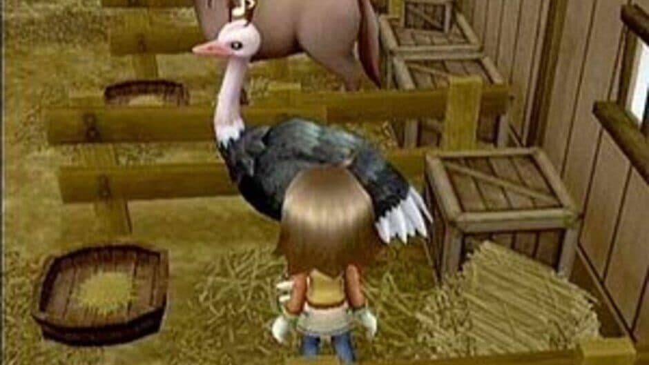 Harvest Moon: Tree of Tranquility screenshot