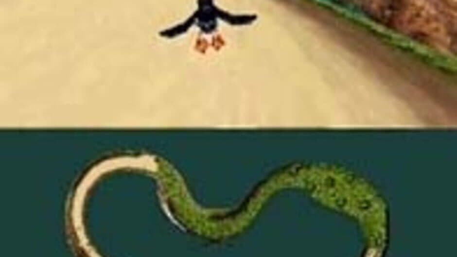 Puffins: Let's Race! screenshot