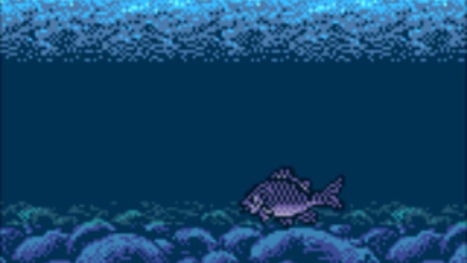Legend of the River King 2 screenshot