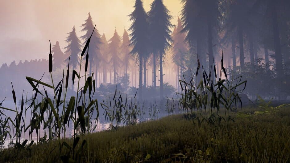 Bigfoot screenshot