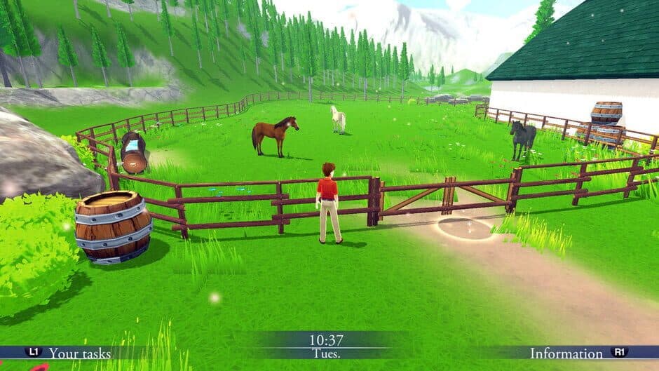 My Riding Stables: Life with Horses 2 screenshot
