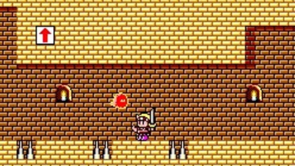 Wonder Boy: Monster Land screenshot
