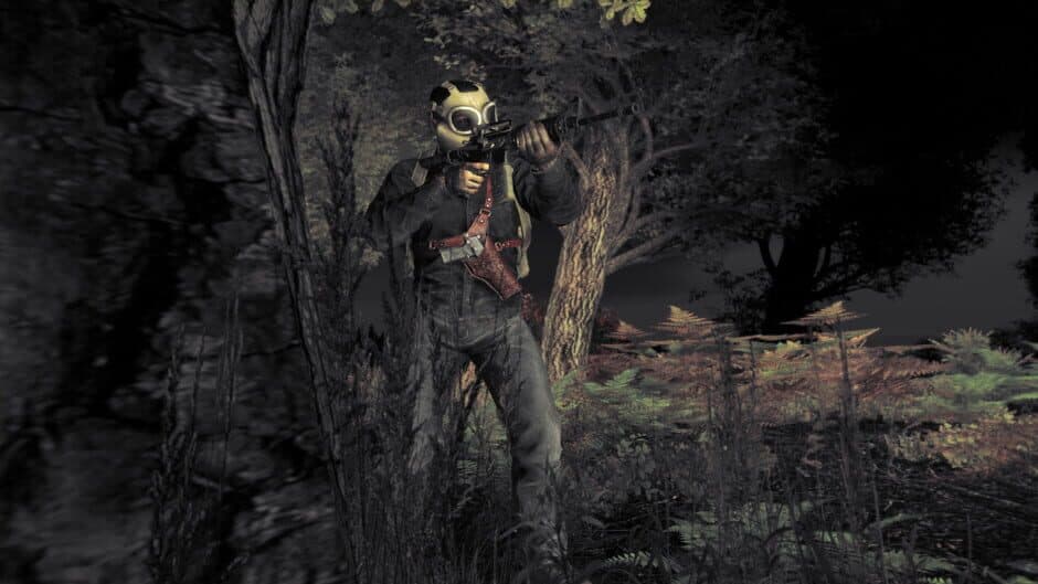 DayZ screenshot