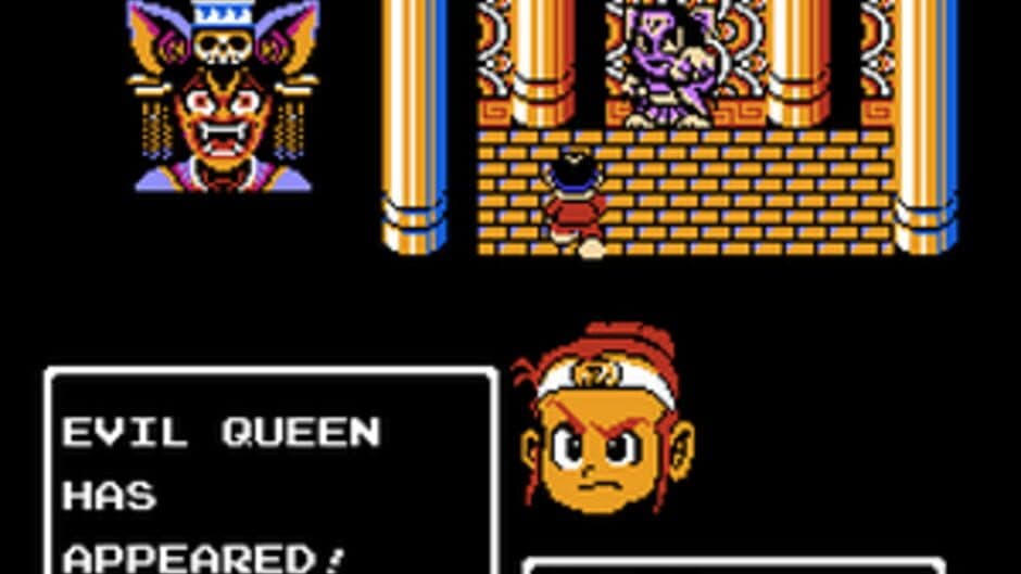 Little Ninja Brothers screenshot