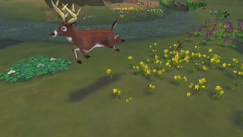 SimAnimals screenshot
