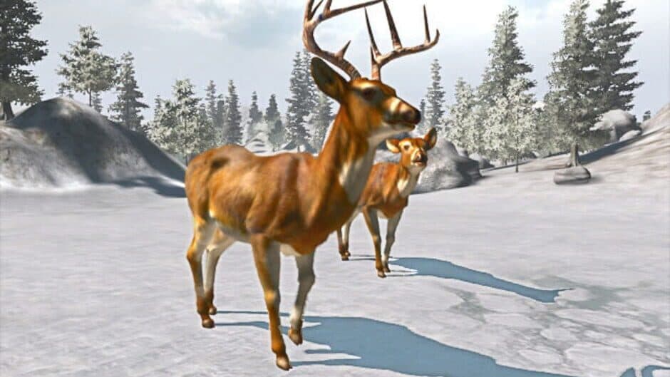 Cabela's Trophy Bucks screenshot