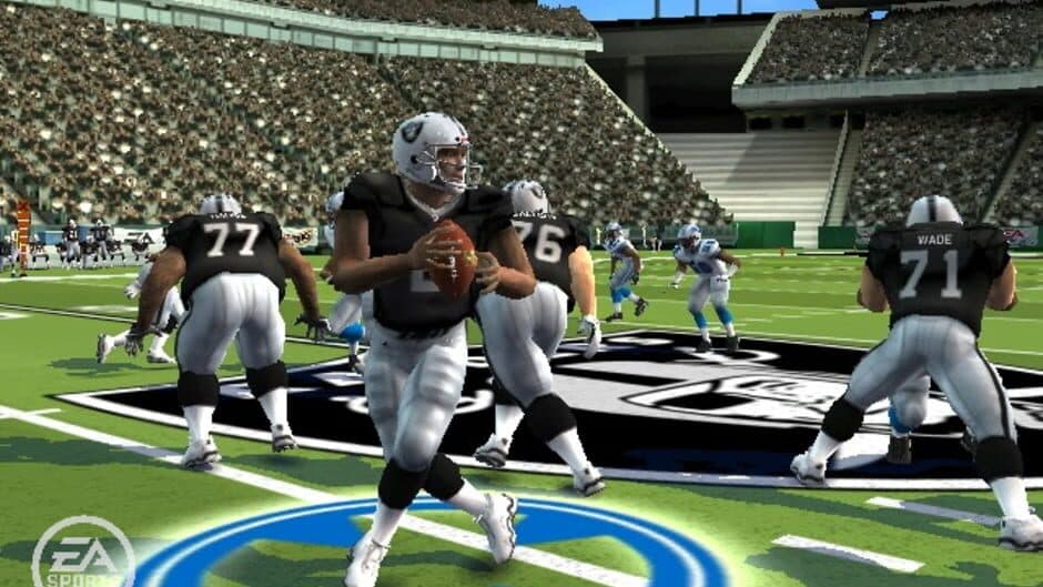 Madden NFL 09 screenshot