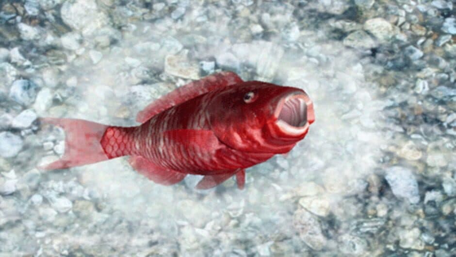Reel Fishing: Ocean Challenge screenshot