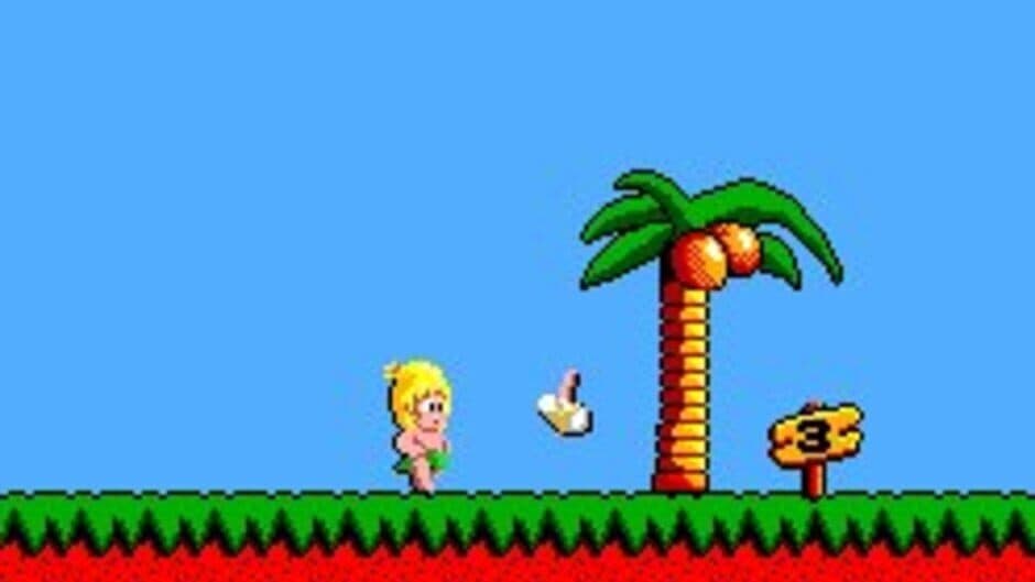 Wonder Boy screenshot