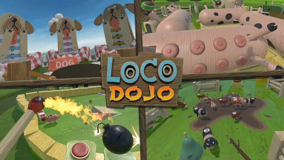 Loco Dojo screenshot