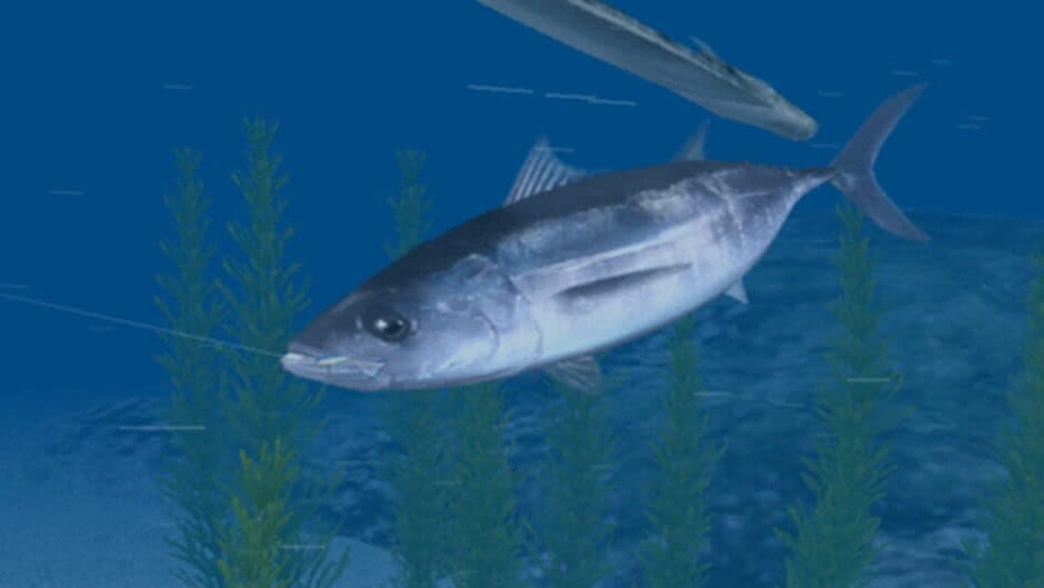 Reel Fishing: Ocean Challenge screenshot