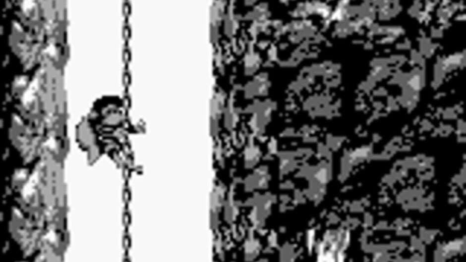 Donkey Kong Land 2 screenshot