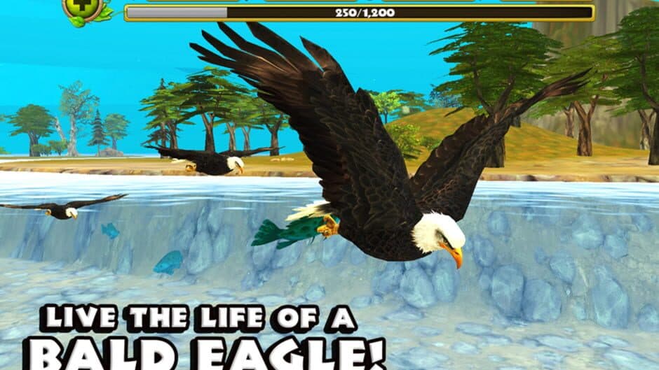 Eagle Simulator screenshot