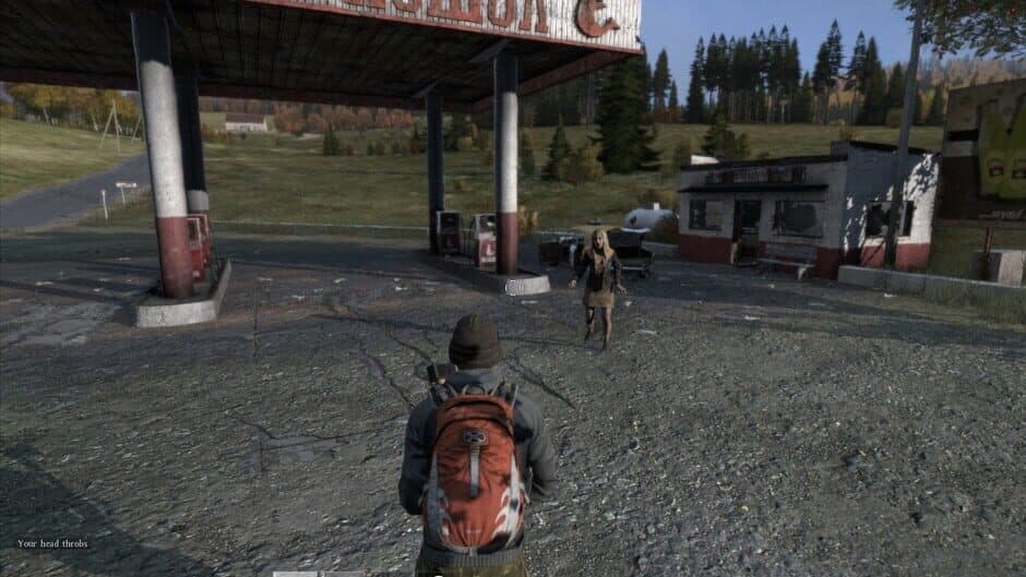 DayZ screenshot