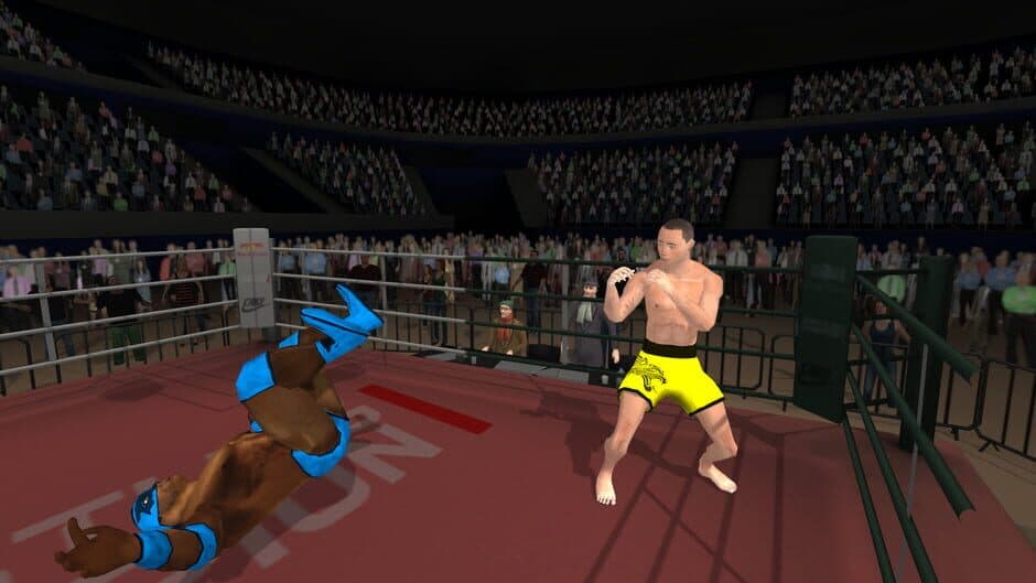 Wrestlers Without Boundaries screenshot
