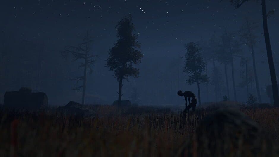 Through the Woods screenshot