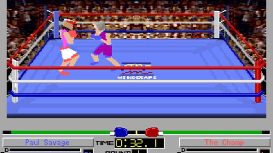 4-D Boxing screenshot