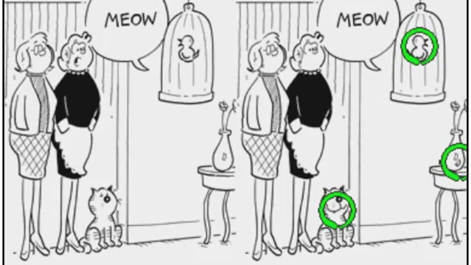 Heathcliff: Spot On screenshot