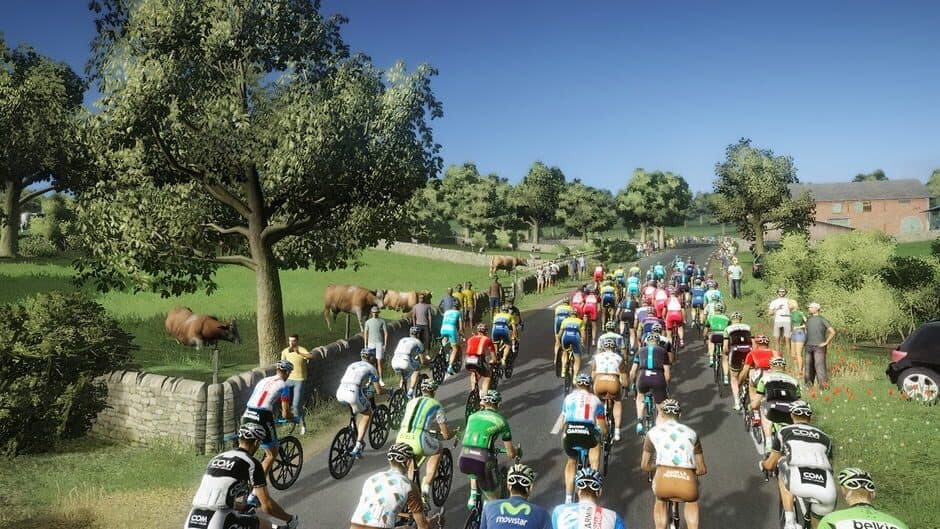Tour de France 2014 screenshot
