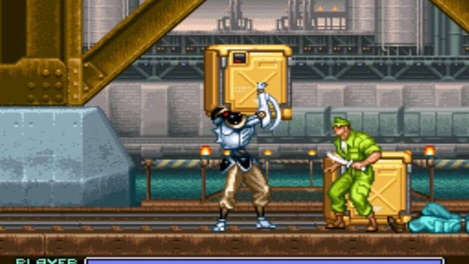 Ninja Warriors screenshot