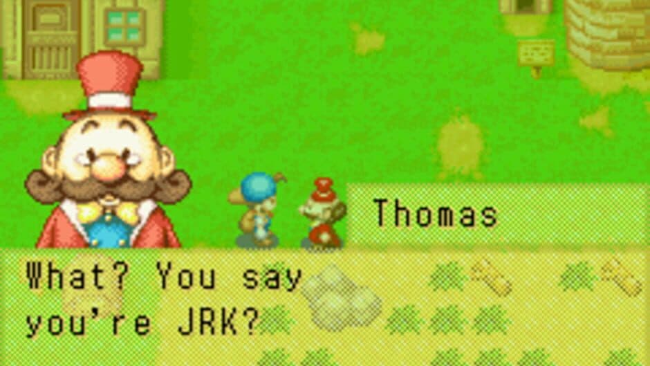 Harvest Moon: Friends of Mineral Town screenshot