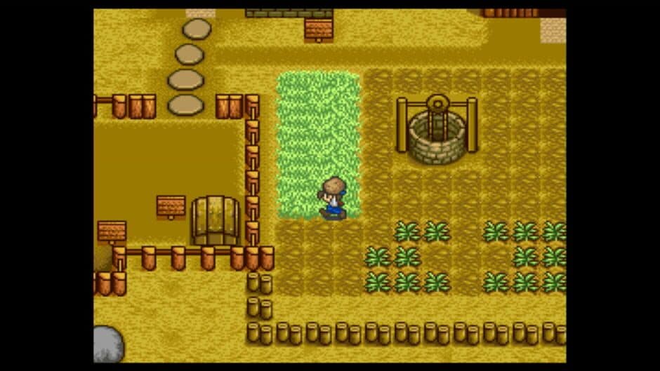 Harvest Moon screenshot