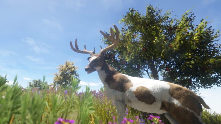 Animallica screenshot