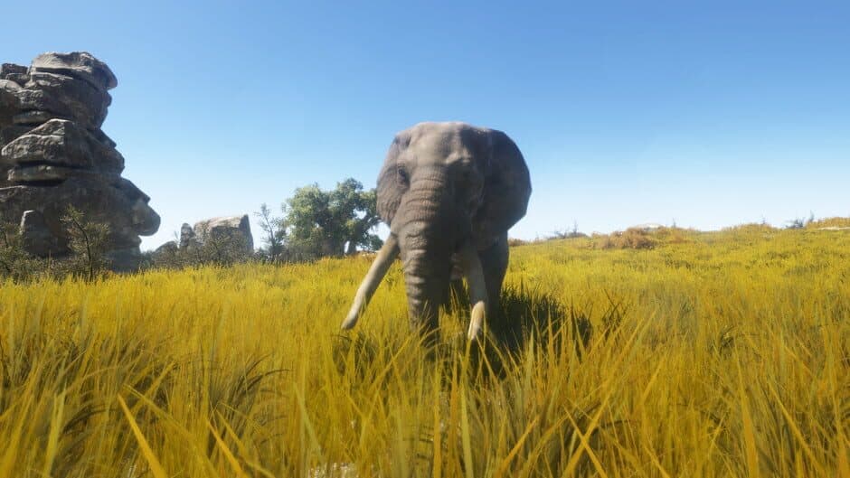 Animallica screenshot