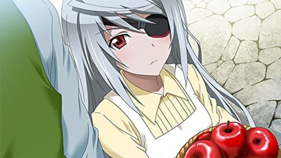 Infinite Stratos 2: Love and Purge screenshot
