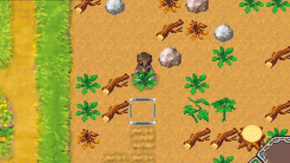 Rune Factory: A Fantasy Harvest Moon screenshot