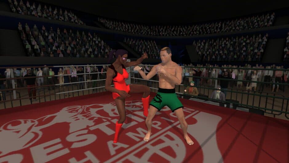 Wrestlers Without Boundaries screenshot