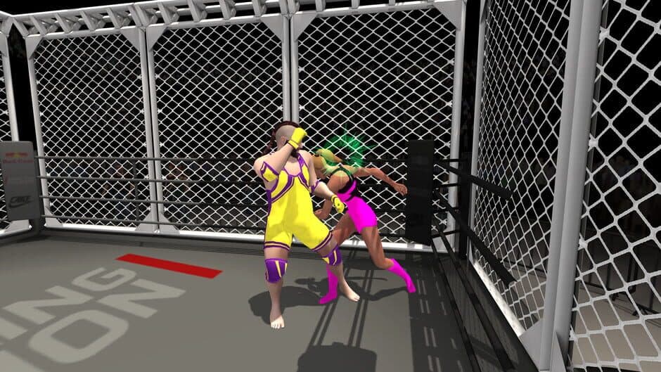 Wrestlers Without Boundaries screenshot