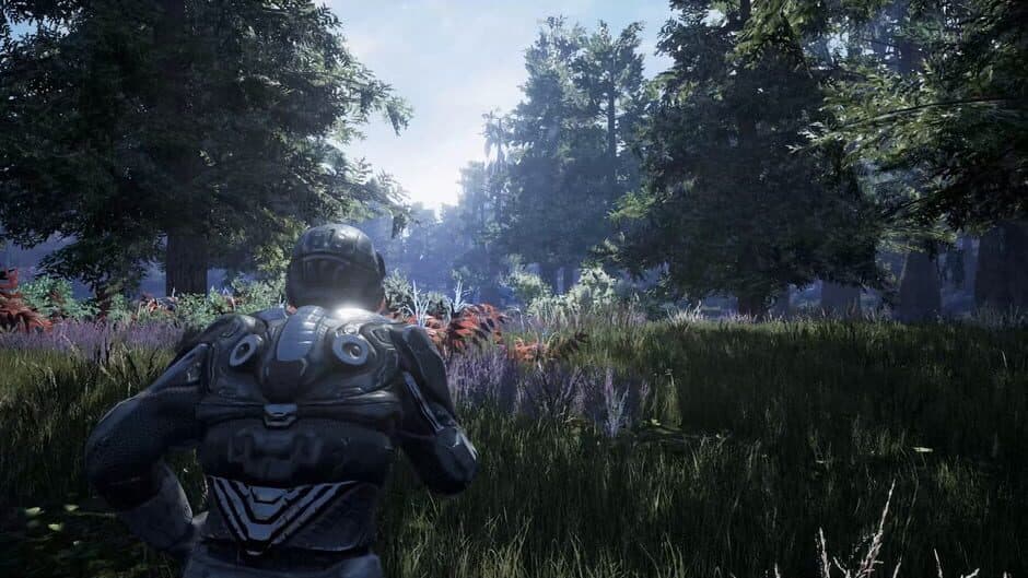 Fragmented screenshot