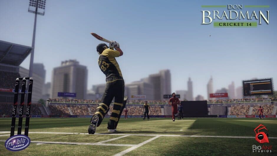 Don Bradman Cricket 14 screenshot