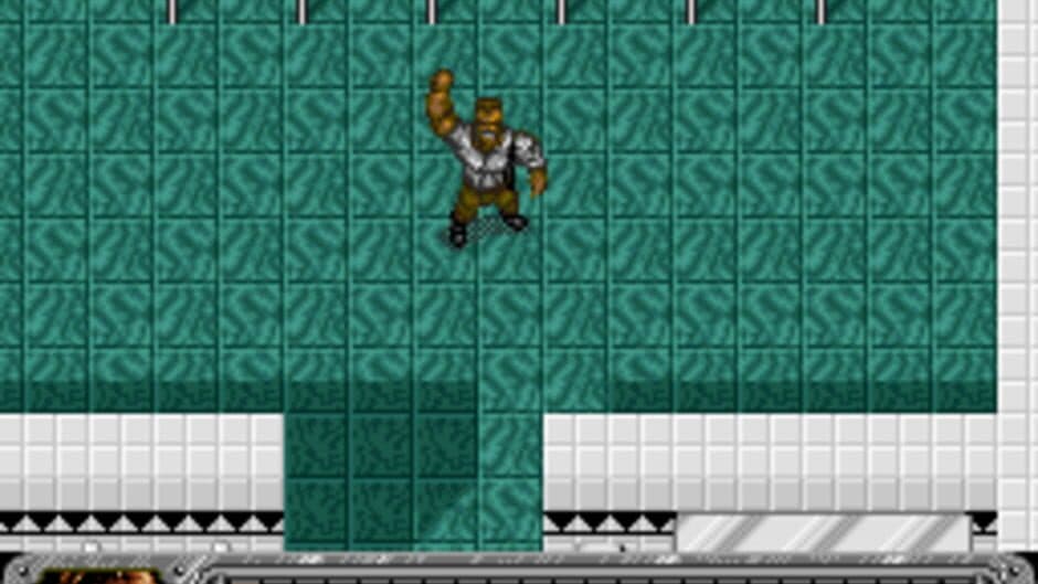 True Lies screenshot