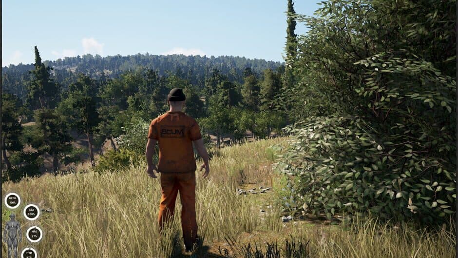Scum screenshot