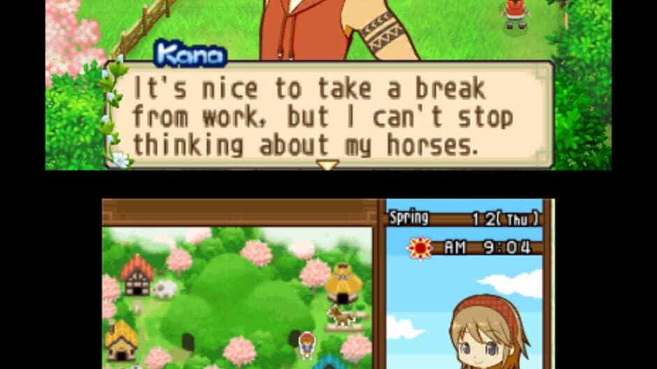 Harvest Moon: The Tale of Two Towns screenshot
